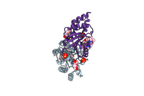 6CHO image