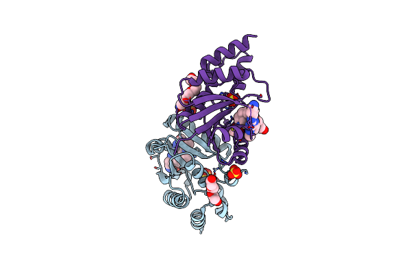 6CHP image