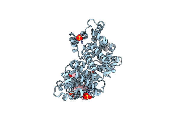 6CI6 image