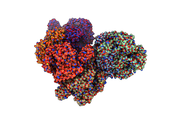 6CIP image