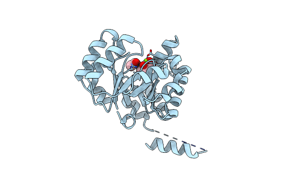 6CJ4 image