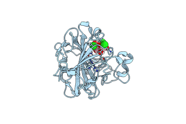 6CJV image