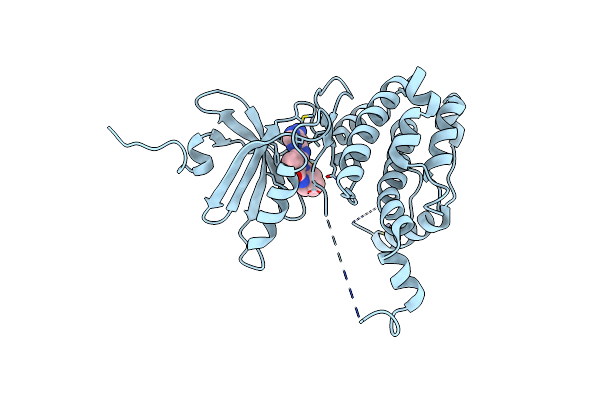 6CK6 image