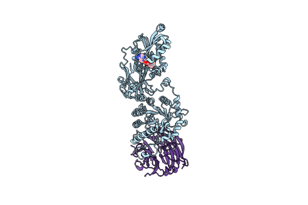 6CKC image