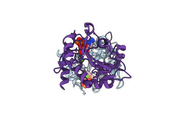 6CKK image