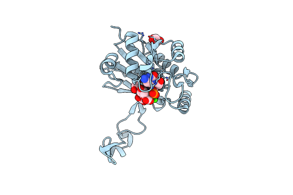 6CKM image