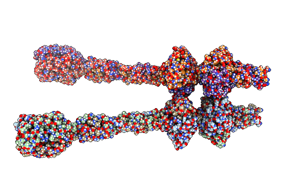 6CL5 image