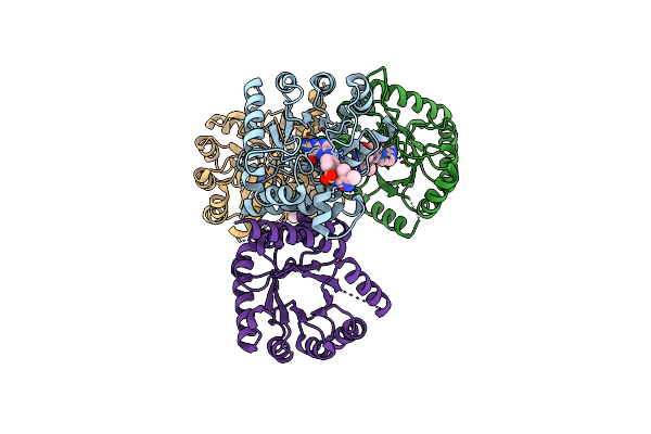 6CLV image