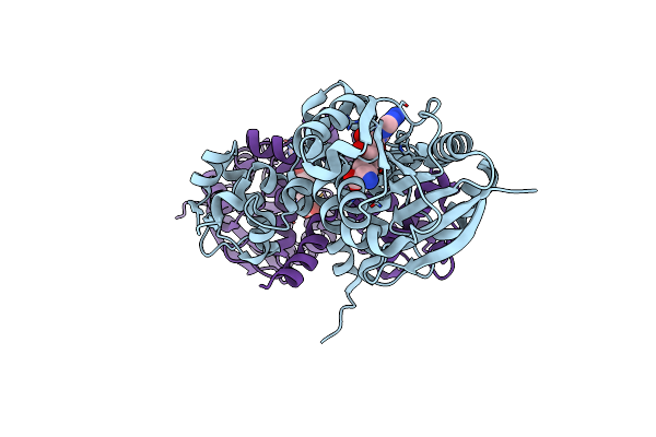 6CLX image