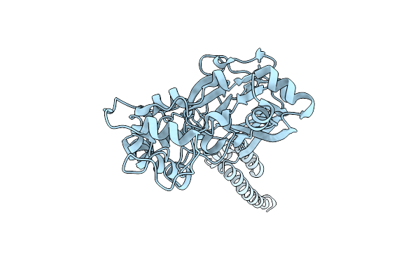 6CMC image