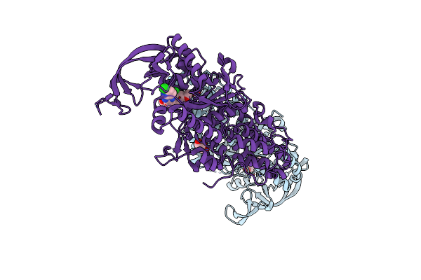 6CML image