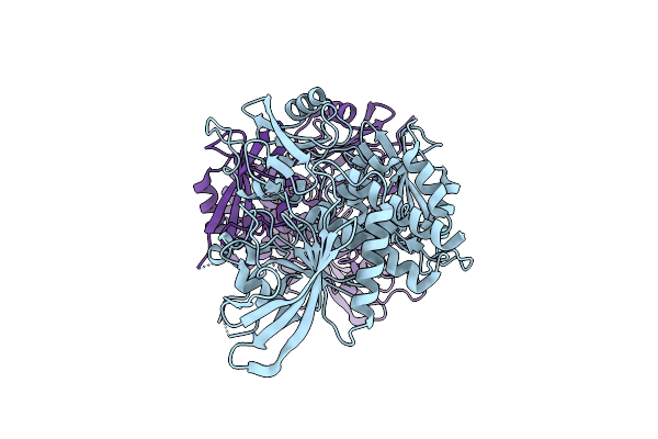 6CMP image