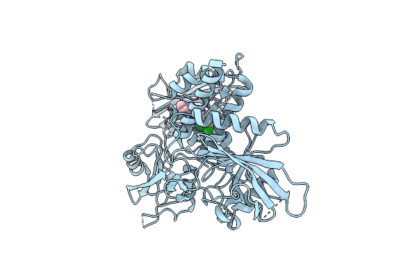 6CMR image