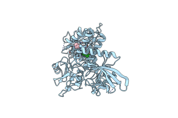 6CMS image