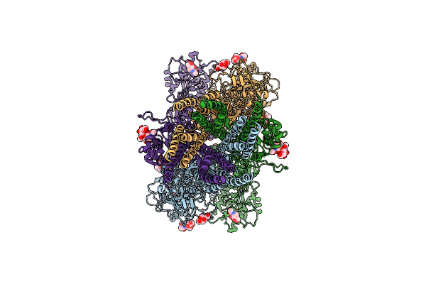 6CNA image