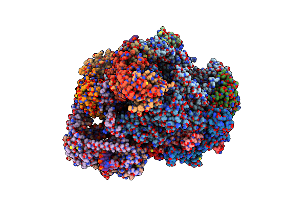 6CNF image