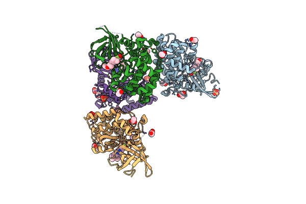 6CNX image