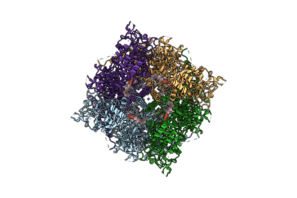 6CO7 image