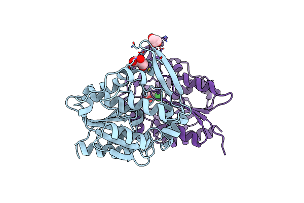 6COB image