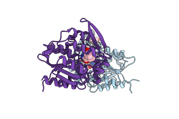 6COI image
