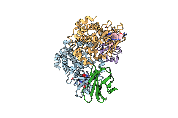 6CPG image