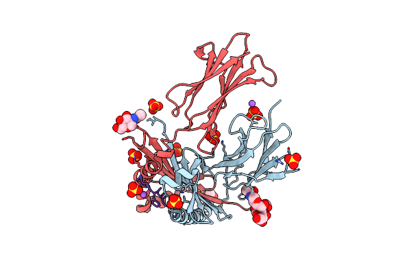 6CPN image