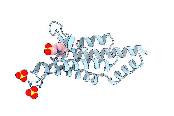 6CPS image