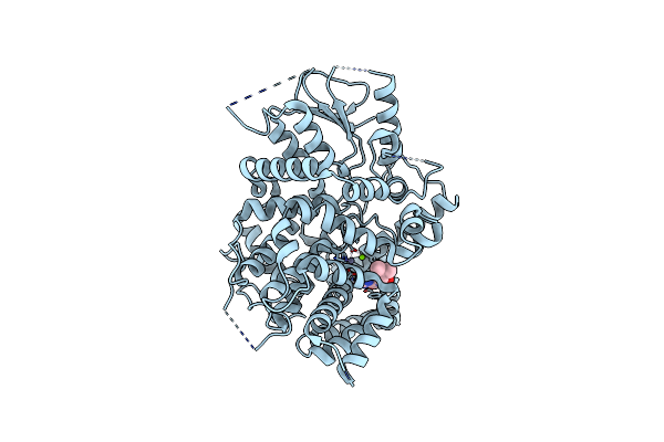 6CPT image