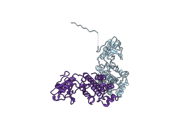 6CPY image