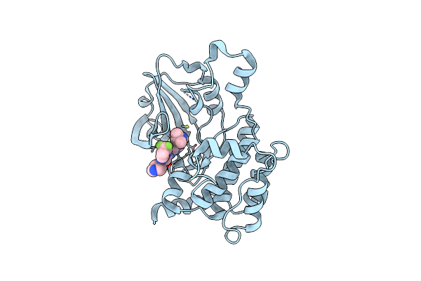 6CQF image