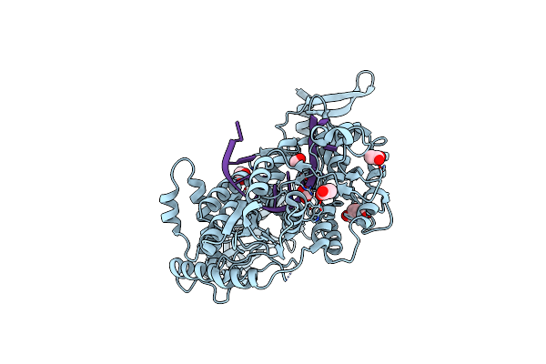 6CQI image