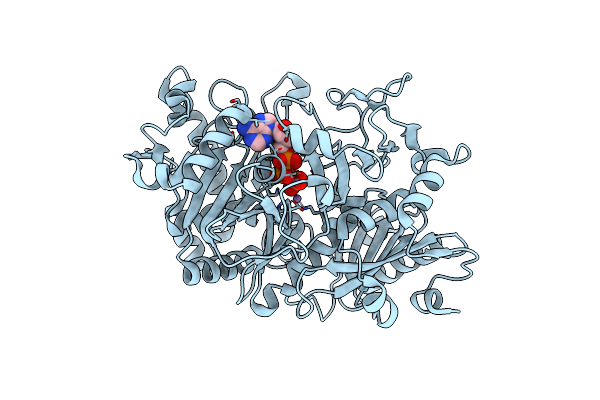 6CRT image