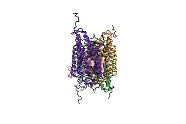 6CSM image