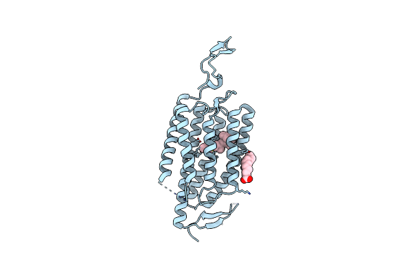 6CSN image