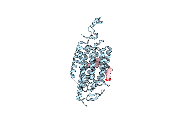 6CSO image