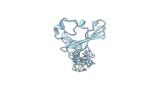 6CT8 image