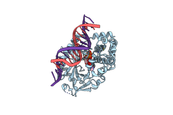 6CTA image