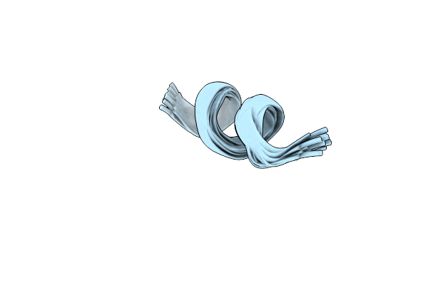 6CTG image