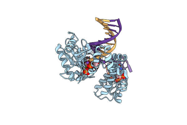 6CTK image