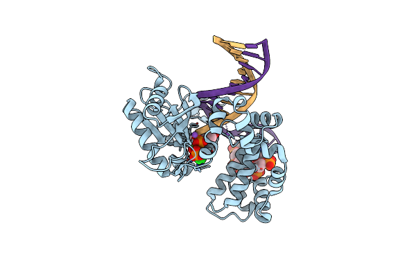 6CTM image