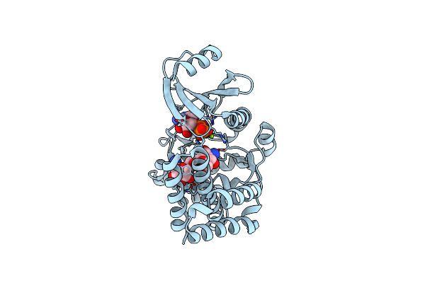 6CTZ image
