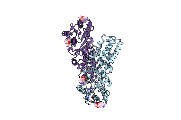 6CVD image