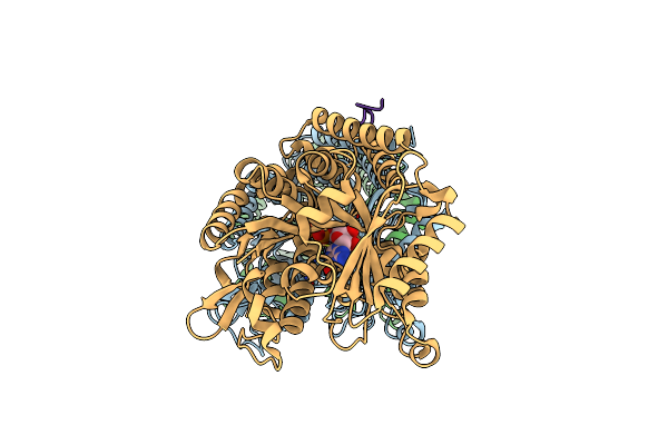6CVJ image