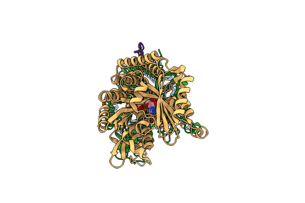 6CVN image
