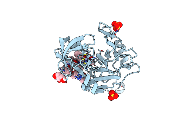 6CVX image