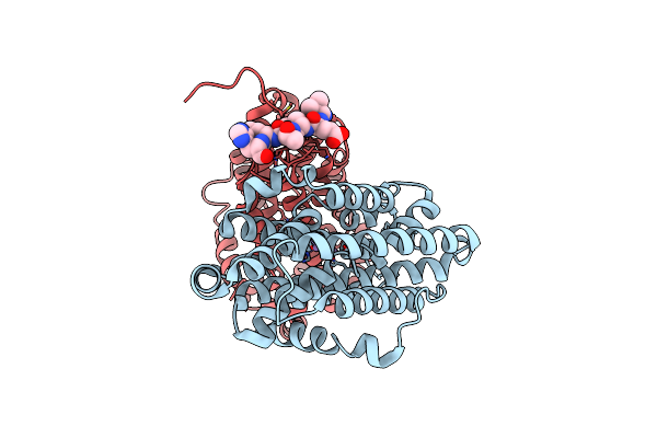 6CWP image