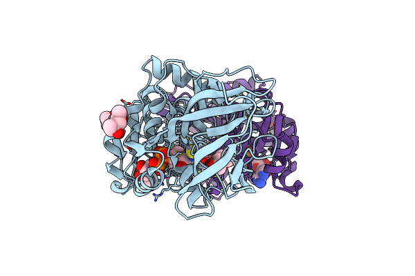 6CXX image