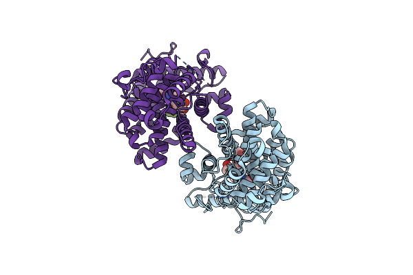 6CYD image