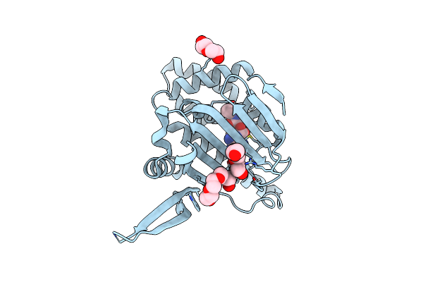 6CYI image