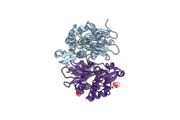 6CYK image